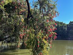 -人民公园(罗湖区)