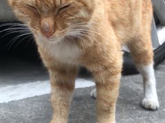 -申鑫大厦