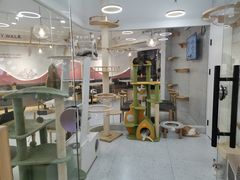-喵园·猫主题咖啡厅·撸猫·猫咖(国贸店)