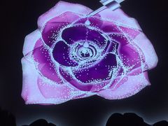 -新世界大丸百货