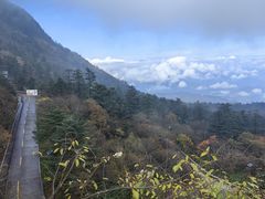 -峨眉山风景名胜区