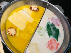 红颜花胶鸡锅-湊湊火锅·茶憩(新中关购物中心店)