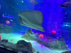 -沈阳海洋探索中心