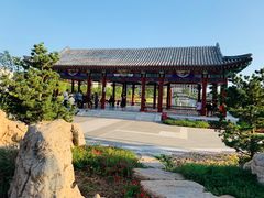 -西海子公园