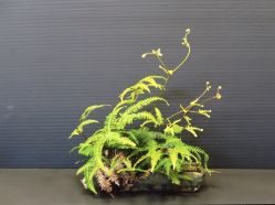 -今日陶艺(富力广场店)