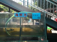 -杨厝六十六农庄农舍(杨厝路店)