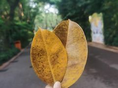 -广州长隆野生动物世界