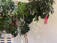 -像素研食The pixlab (皮市街店)
