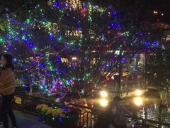 -鹅公村·国家非遗传承(荔湾店)