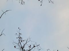 -西安浐灞国家湿地公园