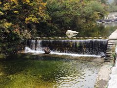 -牛背梁国家森林公园