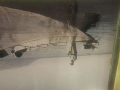 android_upload_pic-云海肴·汽锅鸡·云南菜(天津国金汇店)