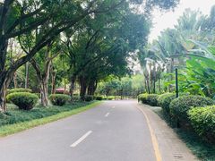 -深圳国际园林花卉博览园