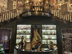 -雪灵魔法世界SHELLY’S TAROT(大良桂畔里店)
