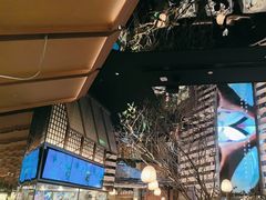 -桂满陇·海市蜃楼·黑金(国金店)