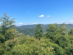 -莫干山风景区