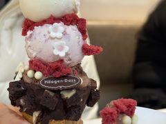 -哈根达斯(大洋百货店)