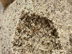 -禾生粑粑坊(陕西路店)