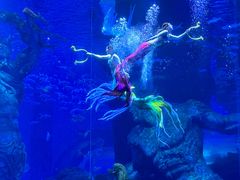 -哈尔滨波塞冬海底世界