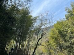 -鸣鹤古镇