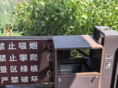 -大岭沟猕猴桃谷风景区