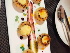 -百好乐宠物友好餐厅(朝外大街店)