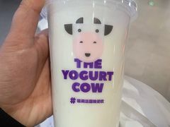 -一只酸奶牛(兰州中心店)