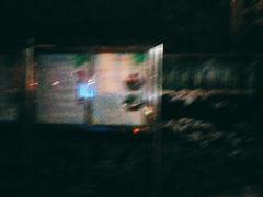 -金陵中学(河西分校)