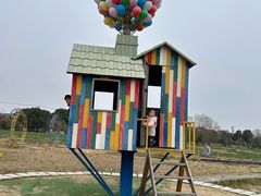 -苏州太湖西山岛开心农场