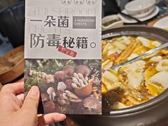 -一朵菌·野生菌探索家火锅(南亚店)