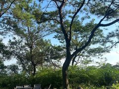 -山景山庄