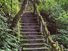 -神农架香溪源景区