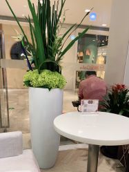 -银座Calla日式美容沙龙