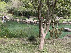 -黄公望隐居地