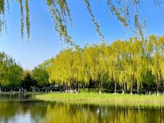 -神光山国家森林公园