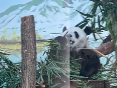 -南宁市动物园