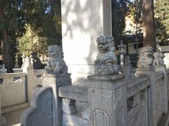 -兴教寺
