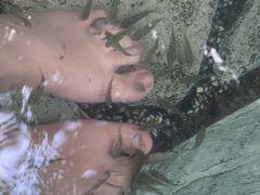 -湖泉半山温泉(湖泉生态园)