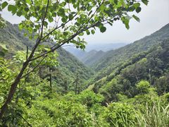 -东天目山风景区
