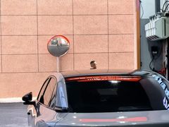 -天猫养车贴膜轻改·蓝电(优匹康桥东路店)