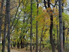 -长春市南湖公园