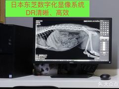 -御宝贝·A梦猫科宠物医院(国际猫友好医院)