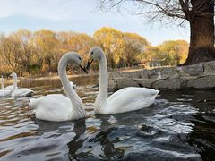 -石家庄市动物园