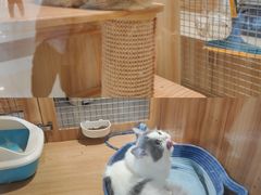 -永旺梦乐城(金银潭店)