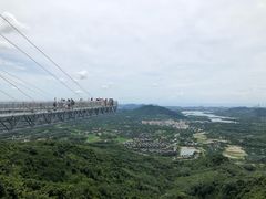 -呀诺达热带雨林