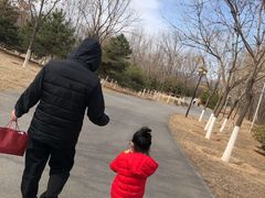 -永定河休闲森林公园