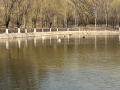 -哈尔滨北方森林动物园