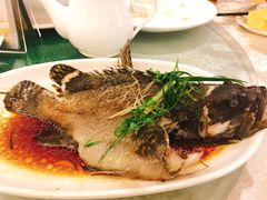 清蒸石斑鱼-外沙疍家棚酒楼