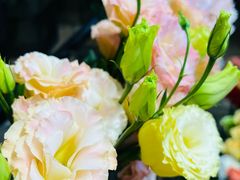 -ChaKo Flora ·茶子花艺 (市北店)