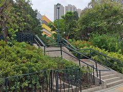 -香港佐治五世纪念公园